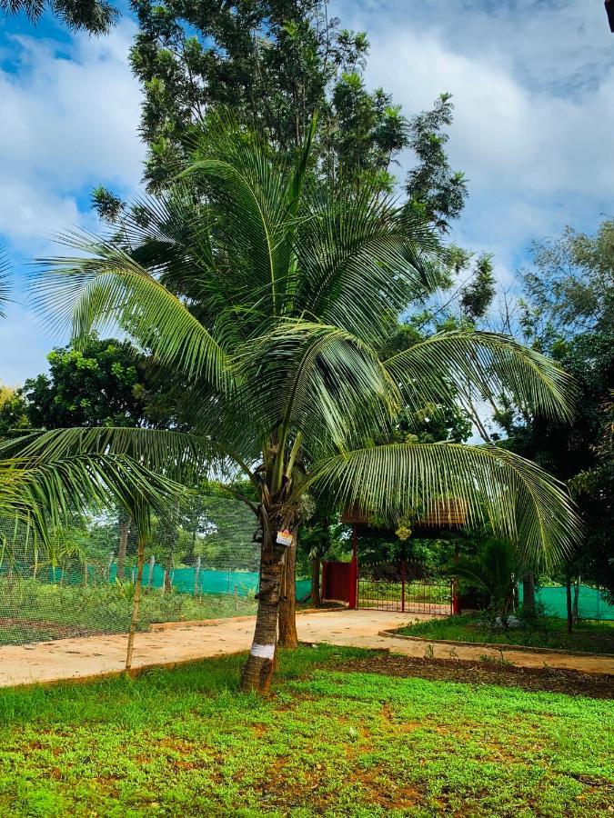 Eco Farm Villa Bangalore Exterior photo